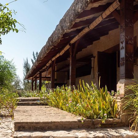 イファチ Demeure De La Compagnie Generale Des Huiles Precieuses Bed & Breakfast エクステリア 写真