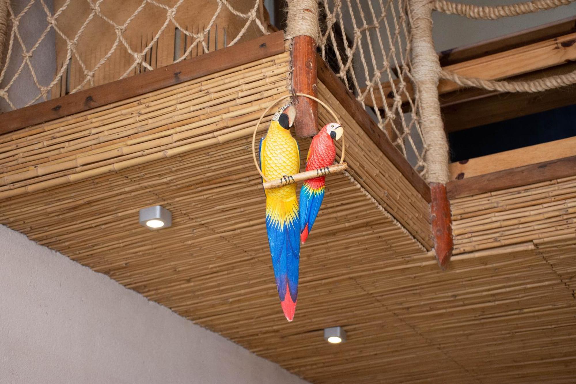 イファチ Demeure De La Compagnie Generale Des Huiles Precieuses Bed & Breakfast 部屋 写真